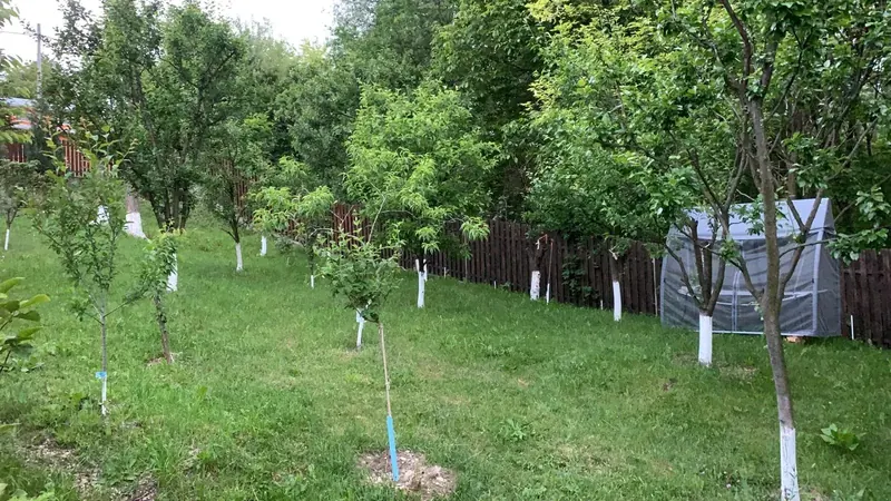 Livada Casei Primăverii